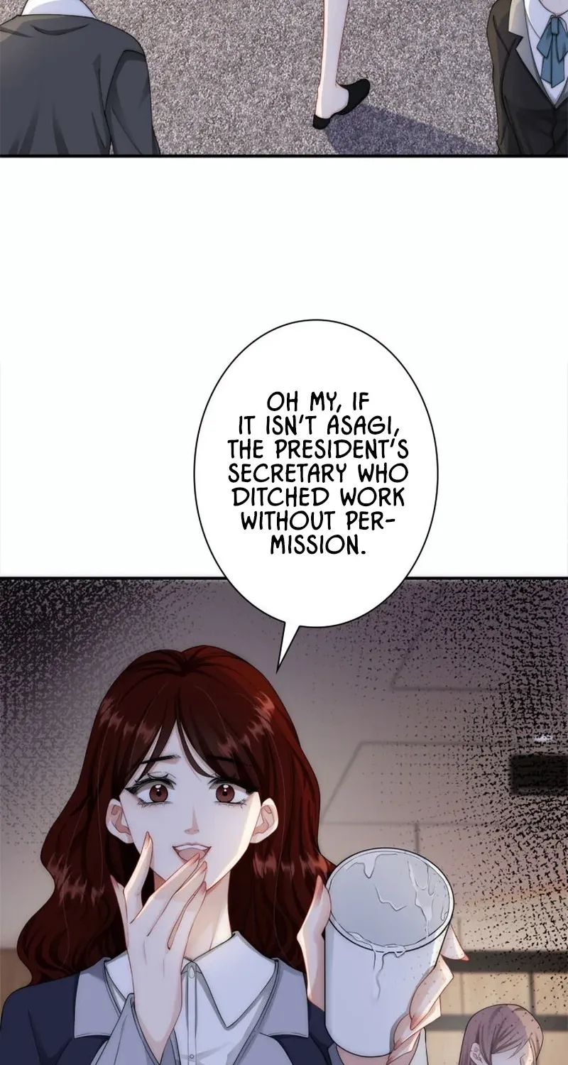 My Contract Lover Boss Is Doting on Me Chapter 3 page 25 - 