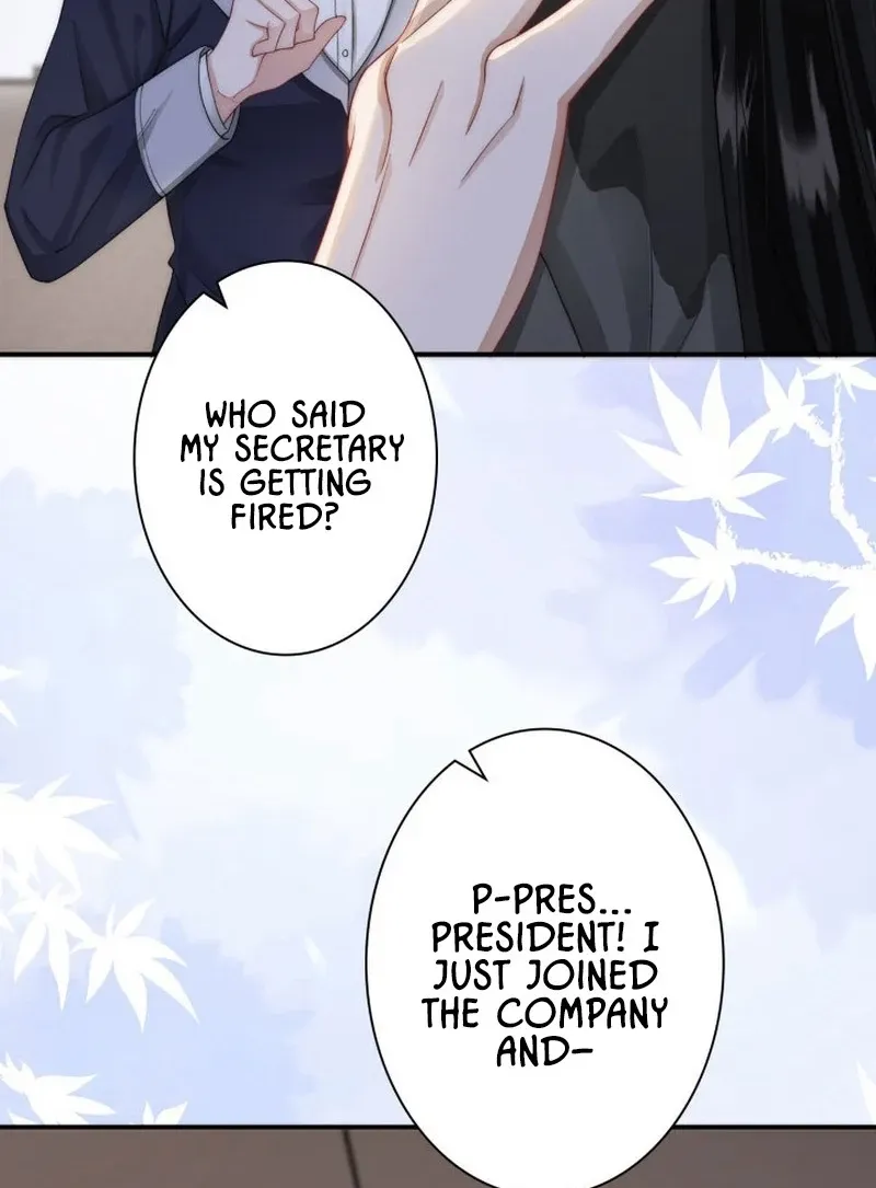 My Contract Lover Boss Is Doting on Me Chapter 3 page 30 - 
