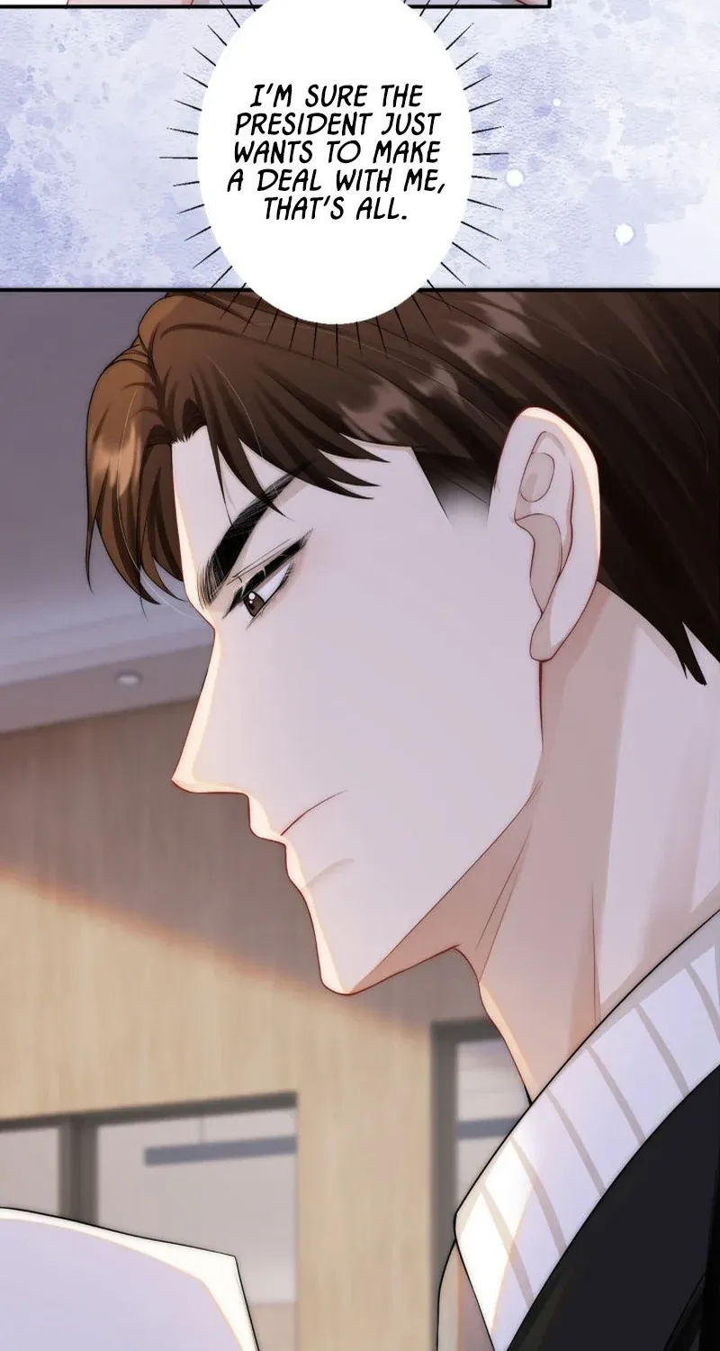 My Contract Lover Boss Is Doting on Me Chapter 3 page 47 - 