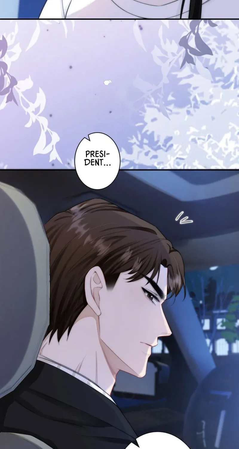 My Contract Lover Boss Is Doting on Me Chapter 4 page 13 - 