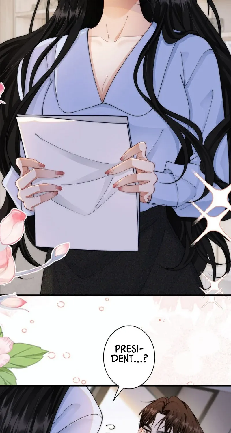 My Contract Lover Boss Is Doting on Me Chapter 4 page 28 - 