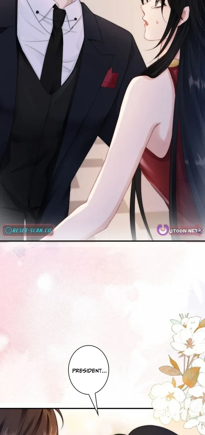 My Contract Lover Boss Is Doting on Me Chapter 6 page 19 - 