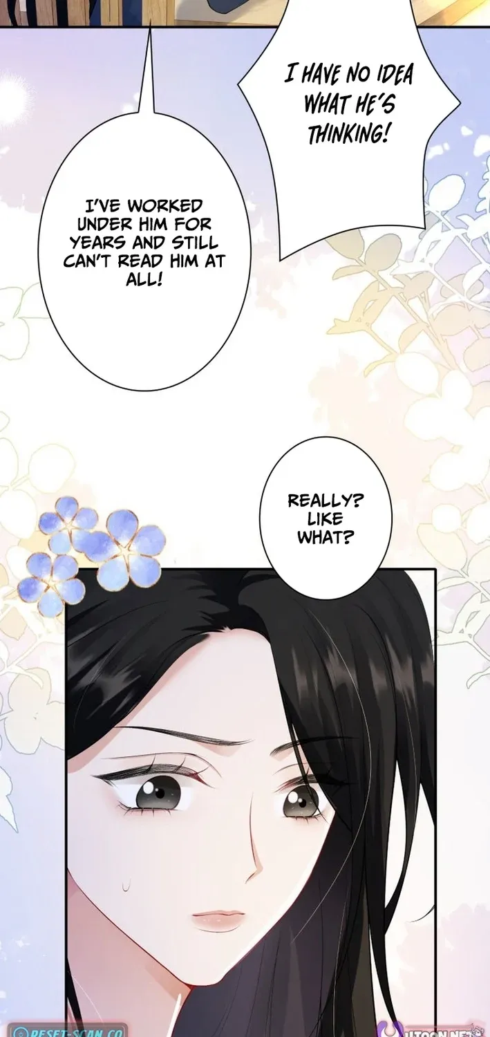 My Contract Lover Boss Is Doting on Me Chapter 8 page 73 - 