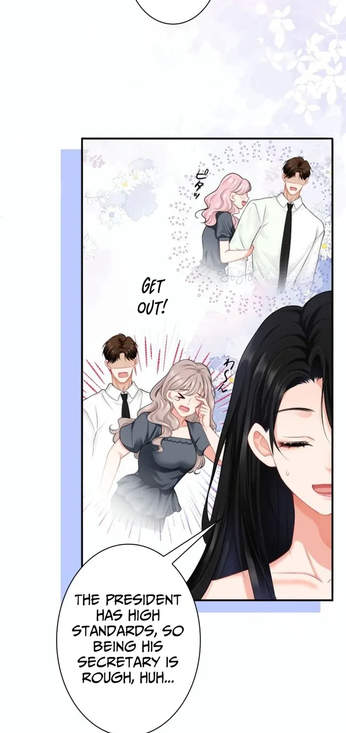 My Contract Lover Boss Is Doting on Me Chapter 9 page 5 - 