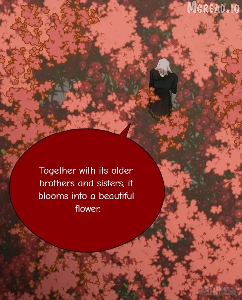 My Contracted God of Chaos Chapter 1 page 41 - 