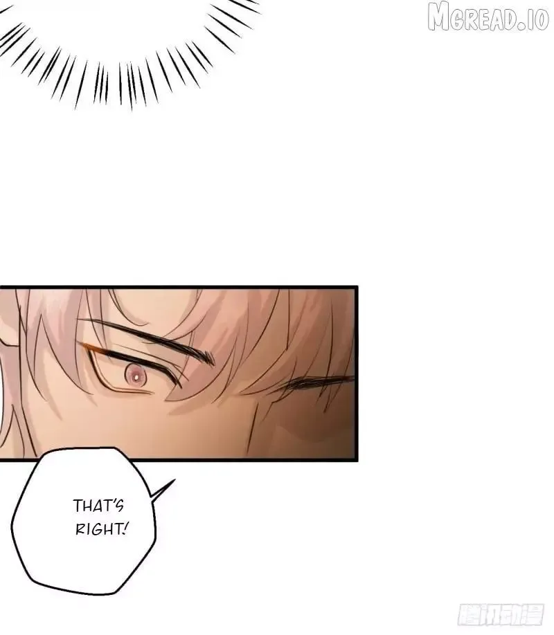 My Contracted God of Chaos Chapter 13 page 65 - 