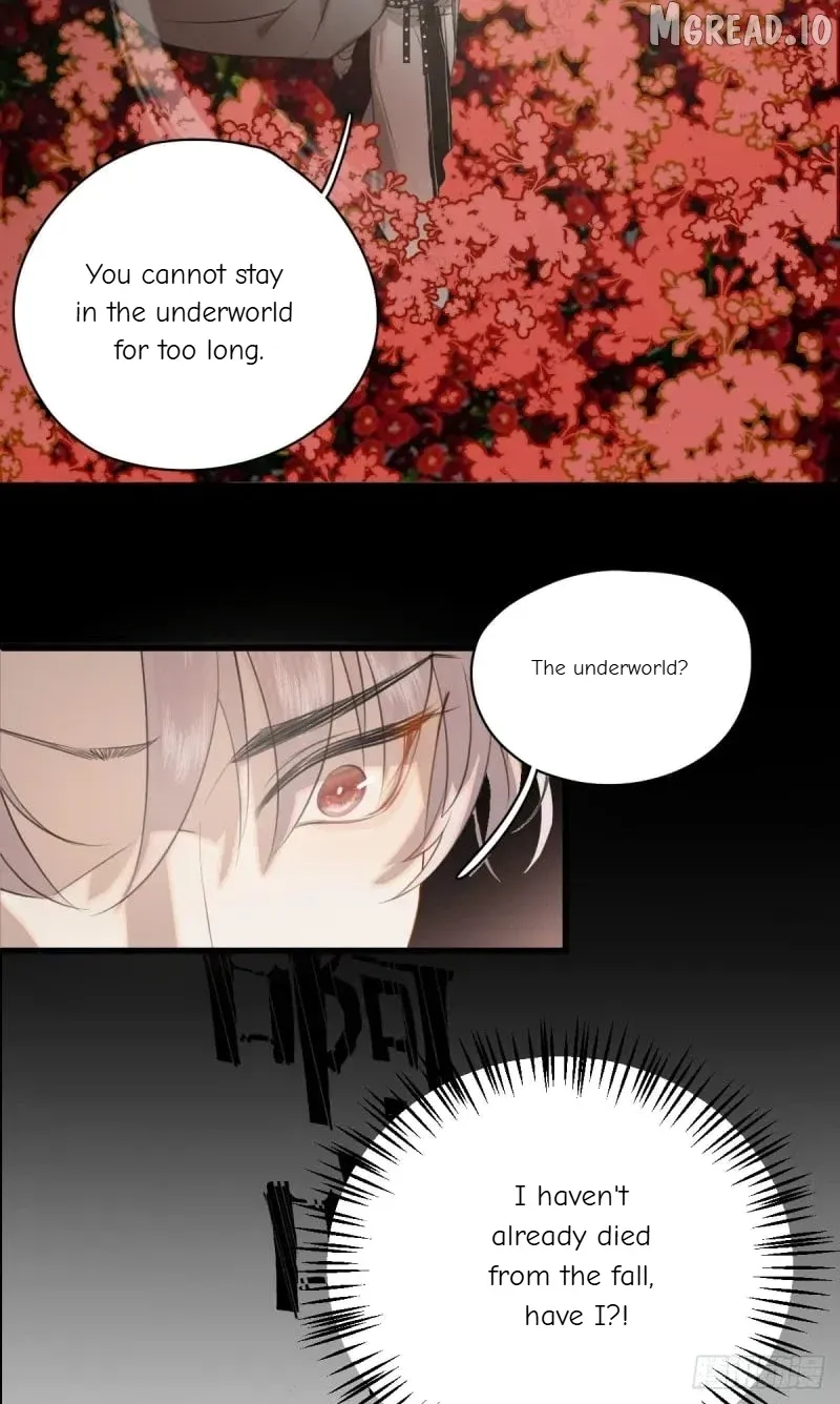 My Contracted God of Chaos Chapter 2 page 26 - 