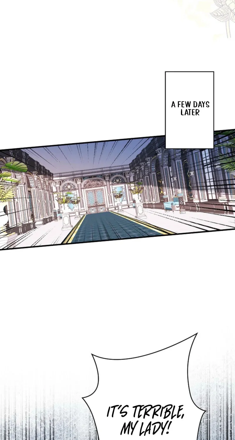 My Contractually Married Husband Wants Me Chapter 16 page 60 - 