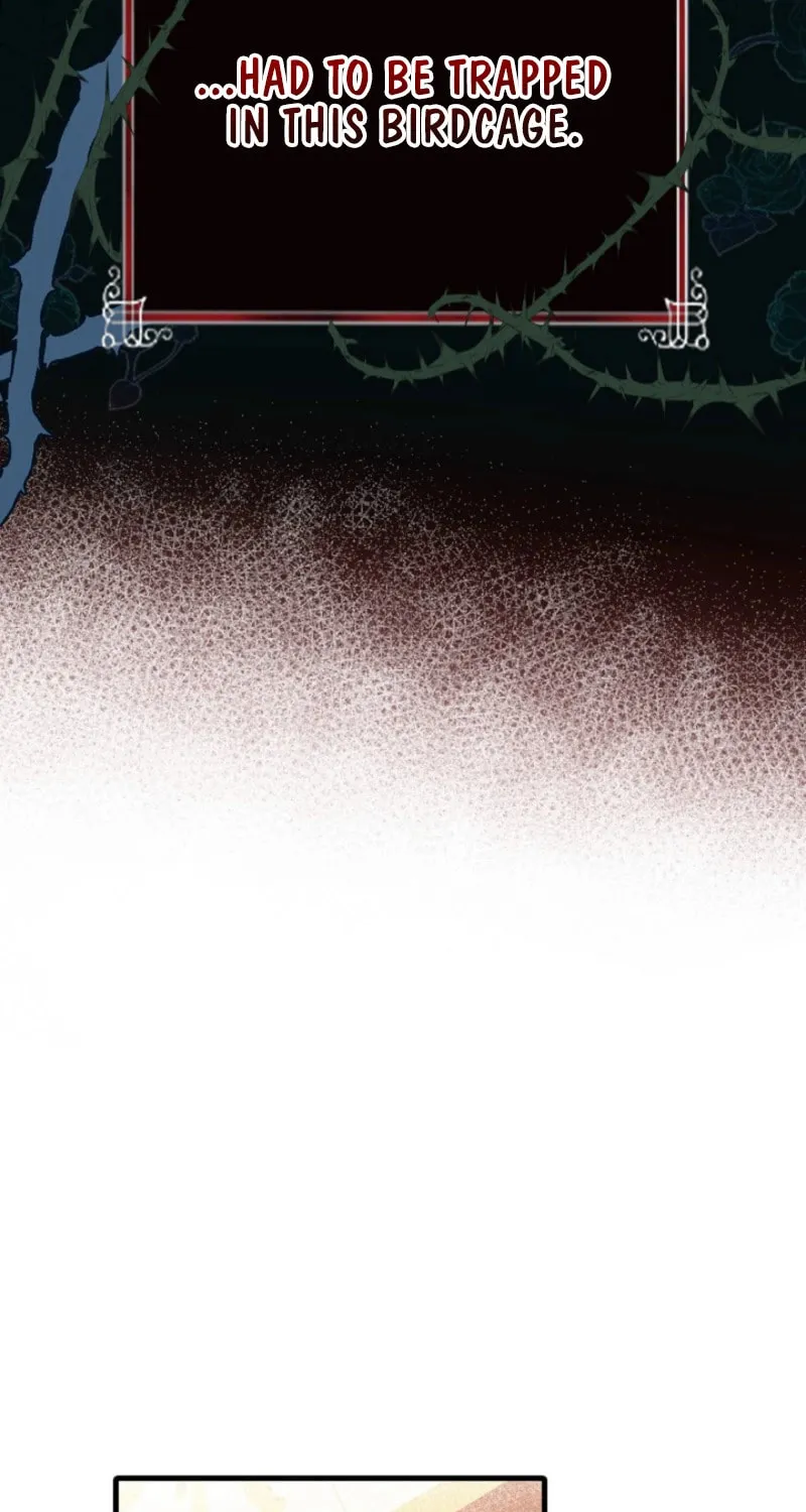 My Contractually Married Husband Wants Me Chapter 2 page 41 - 