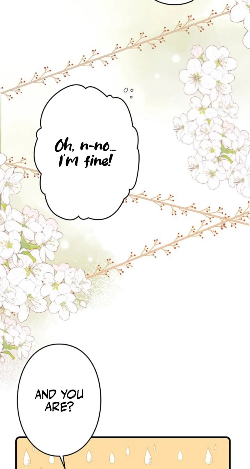 My Contractually Married Husband Wants Me Chapter 5 page 19 - 