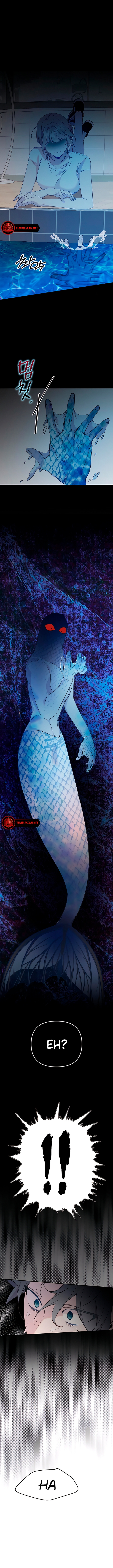 My Dear Fishmen Chapter 16 page 6 - 
