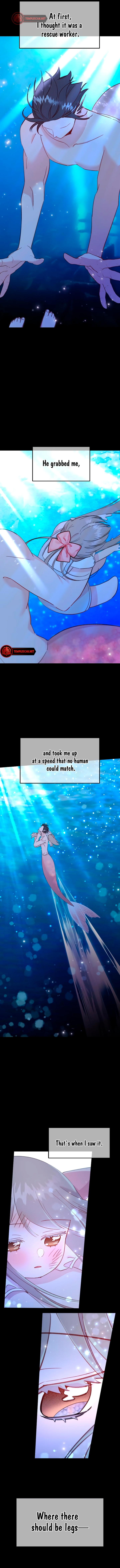 My Dear Fishmen Chapter 26 page 10 - 