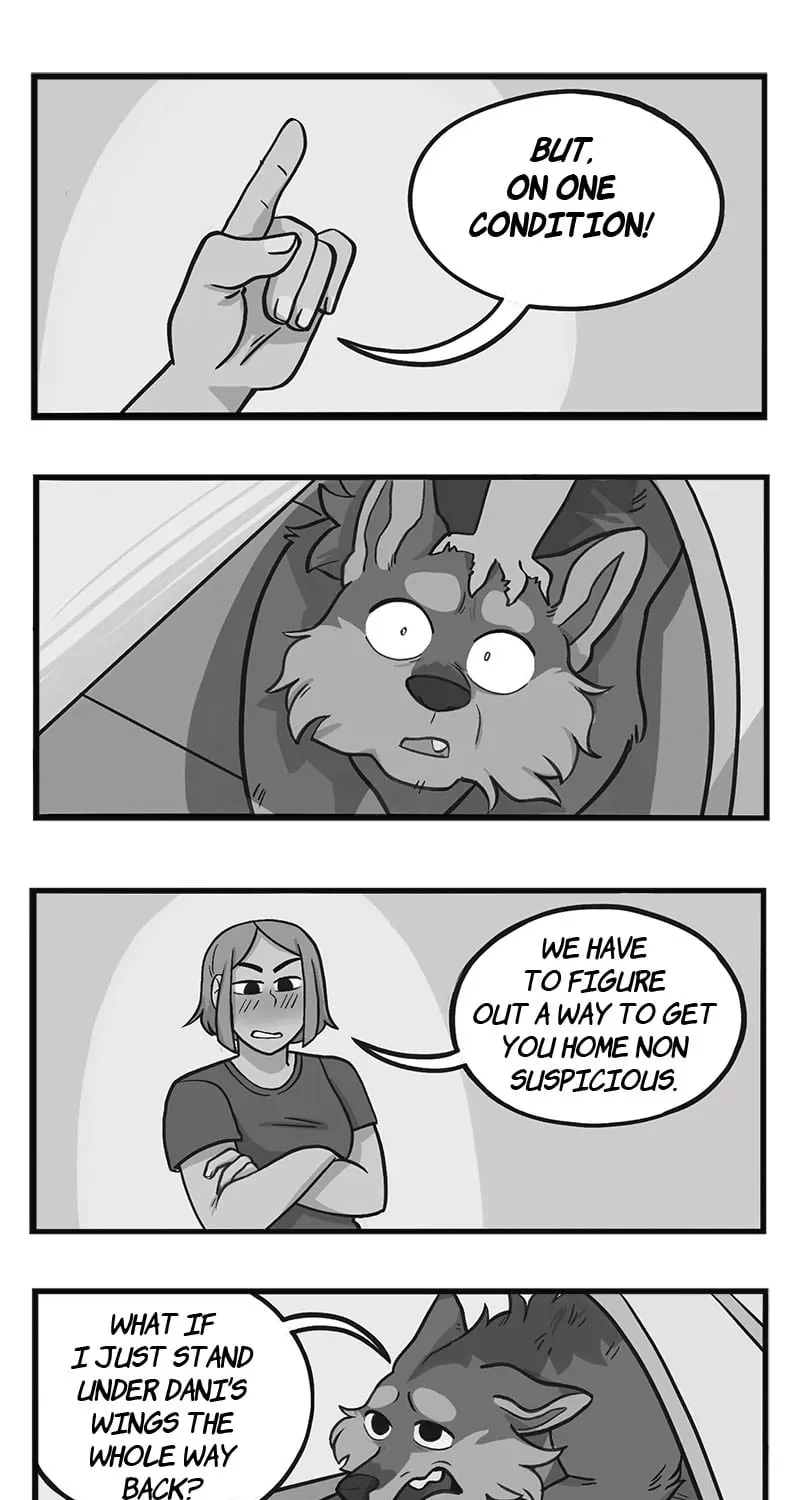 My Dragon Girlfriend Chapter 237 page 1 - 