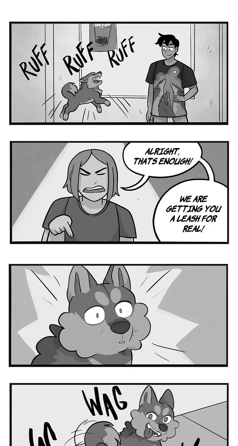 My Dragon Girlfriend Chapter 247 page 1 - 