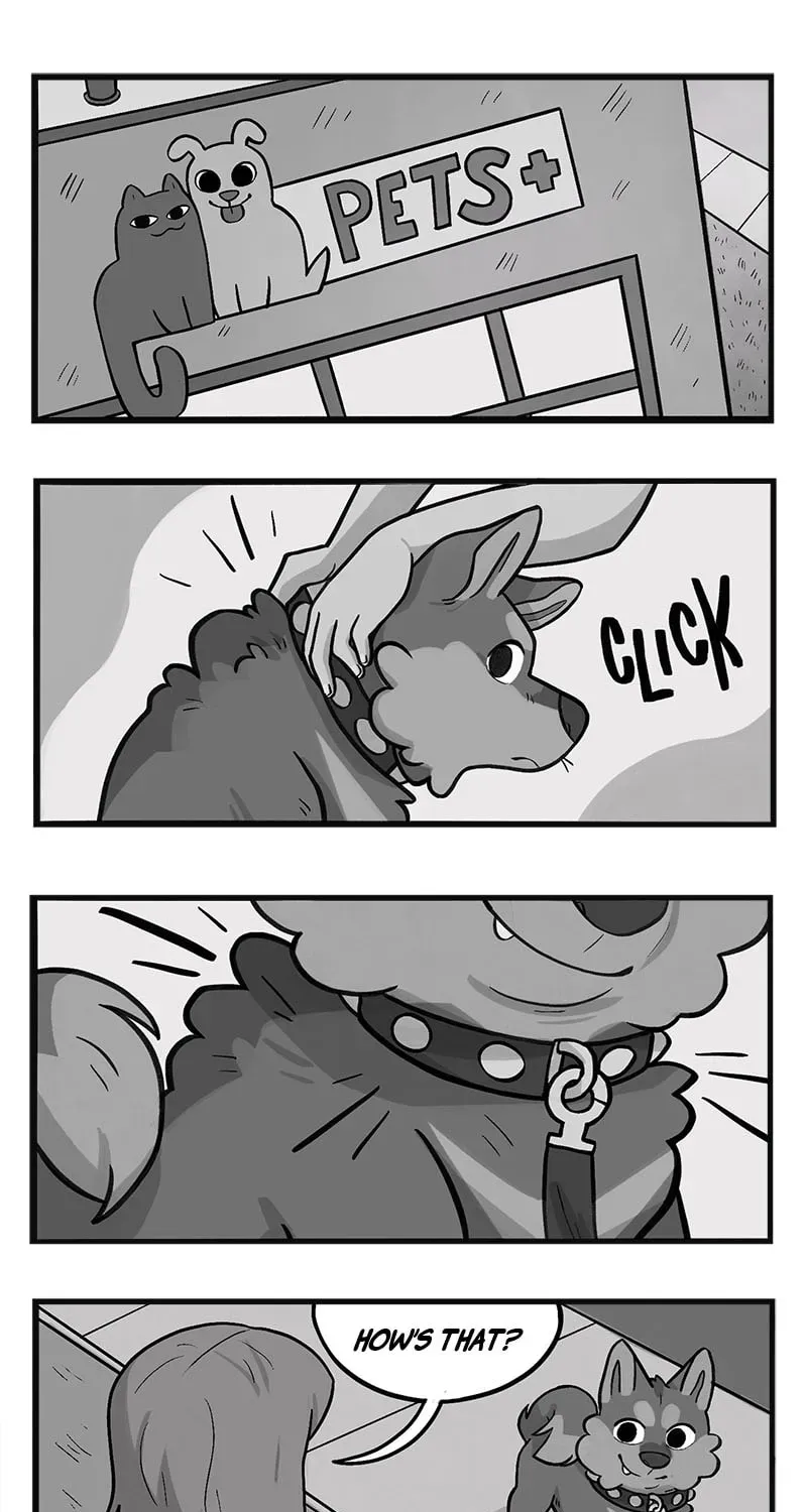 My Dragon Girlfriend Chapter 248 page 1 - 
