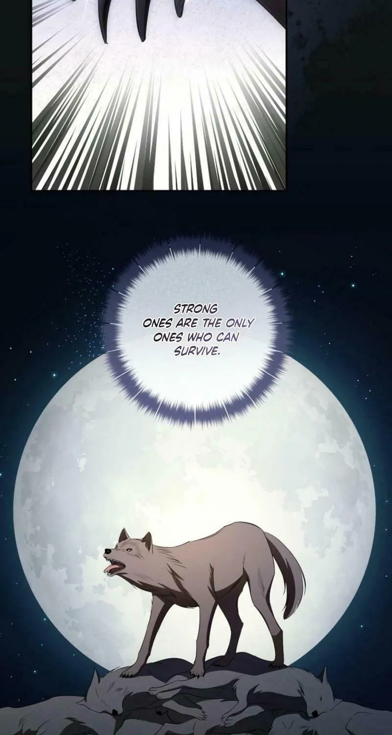 My Dream Is to Get My Own House Chapter 19 page 37 - 