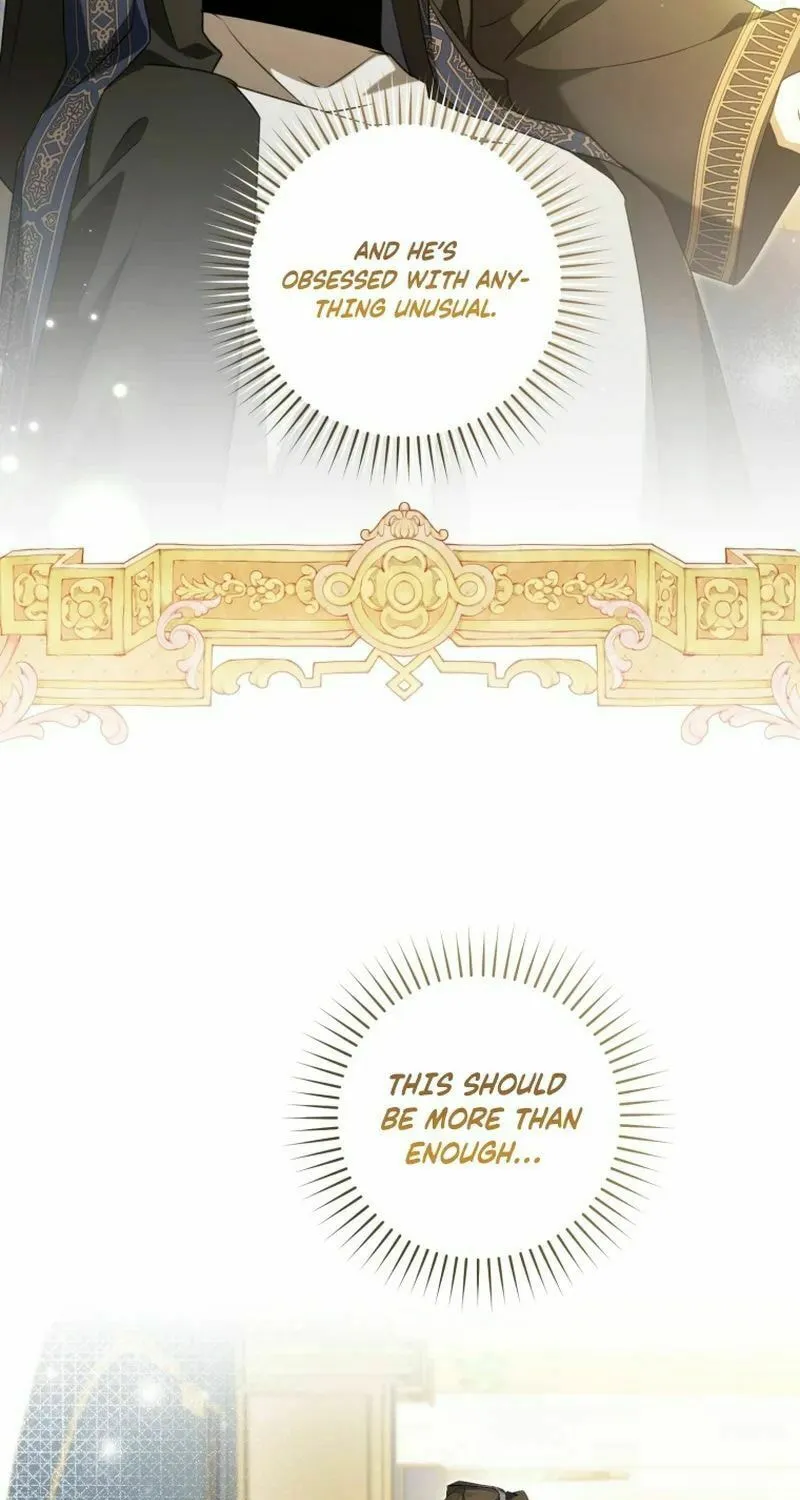 My Dream Is to Get My Own House Chapter 24 page 5 - 