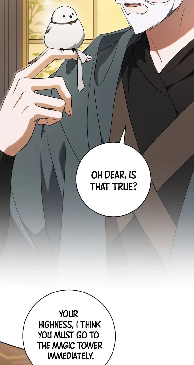 My Dream Is to Get My Own House Chapter 25 page 3 - 