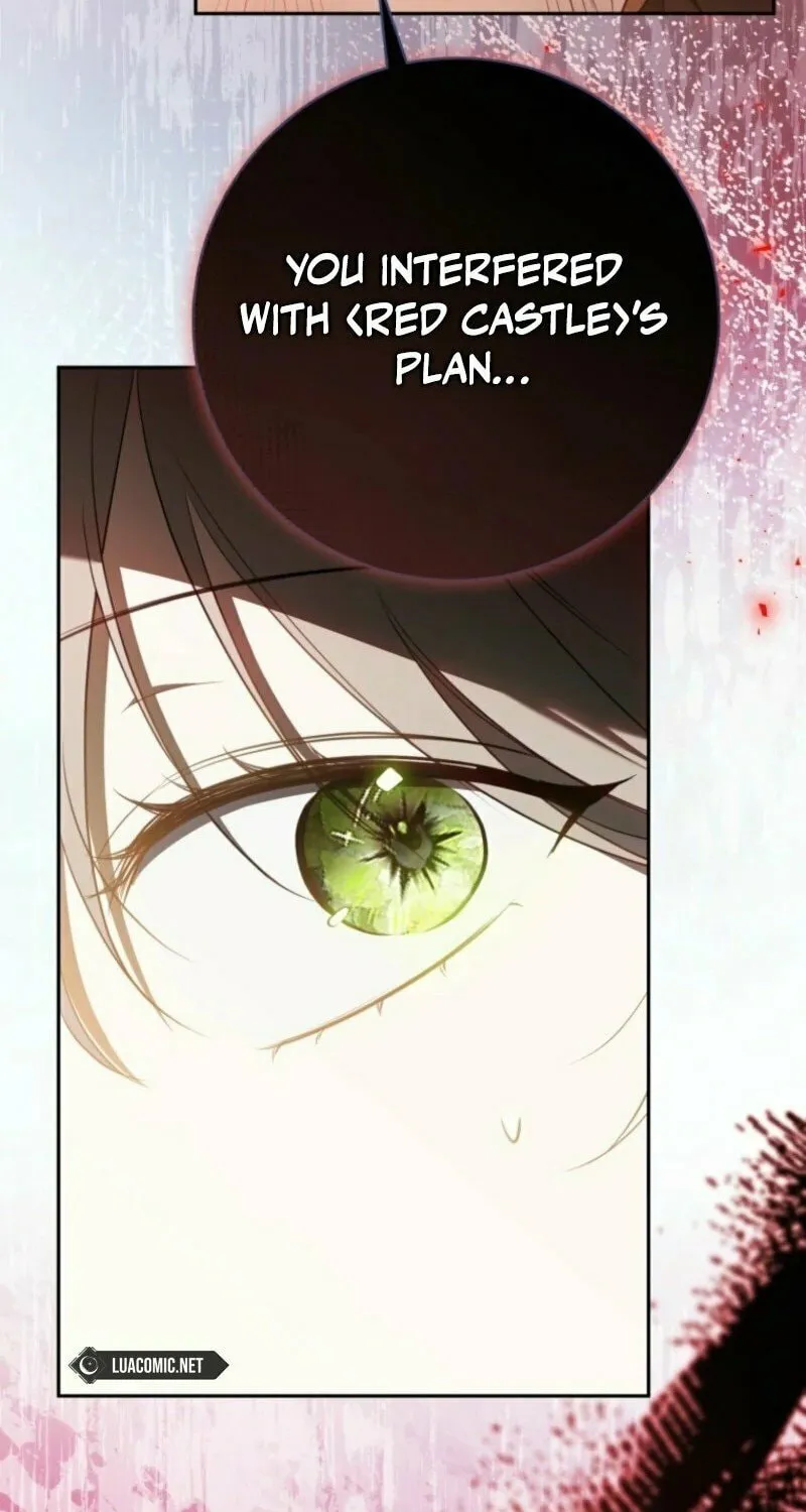 My Dream Is to Get My Own House Chapter 31 page 94 - 