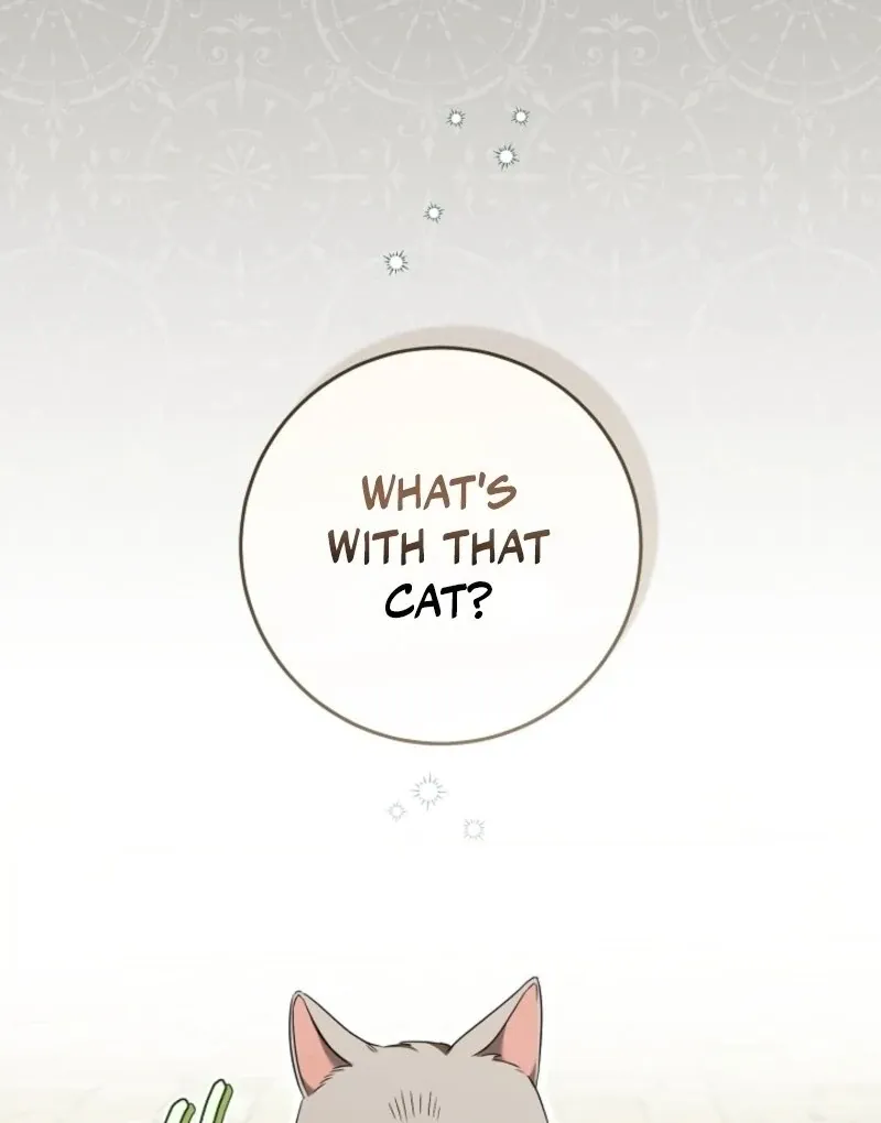 My Dream Is to Get My Own House Chapter 35 page 13 - 