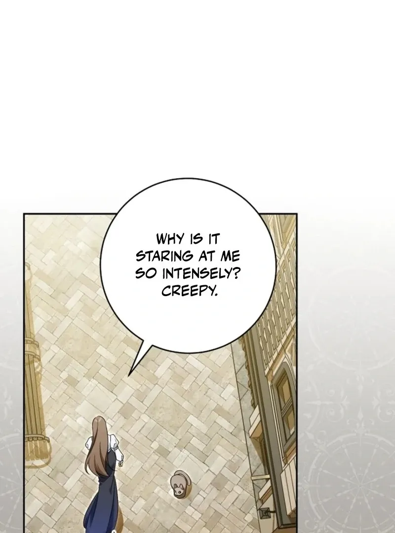 My Dream Is to Get My Own House Chapter 35 page 15 - 