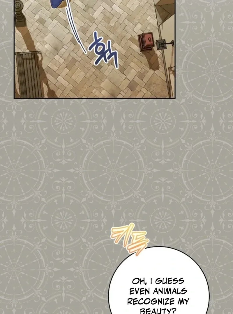 My Dream Is to Get My Own House Chapter 35 page 16 - 