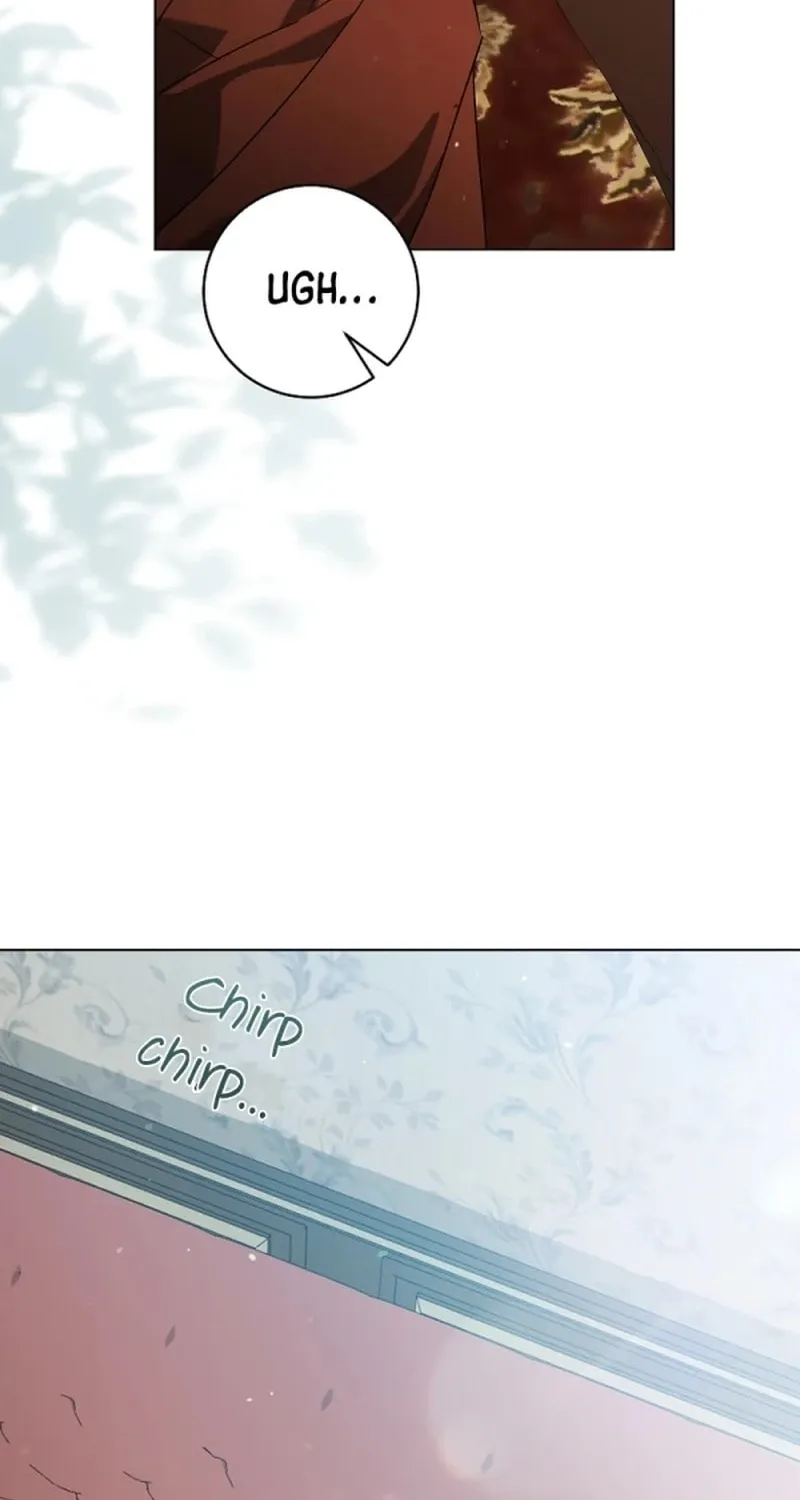 My Dream Is to Get My Own House Chapter 5 page 4 - 