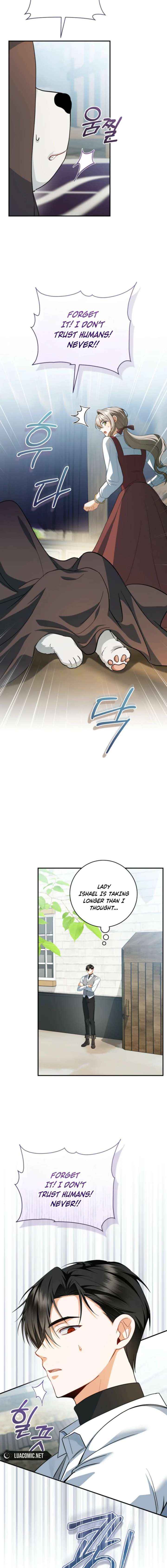 My Dream Is to Get My Own House Chapter 51 page 10 - 
