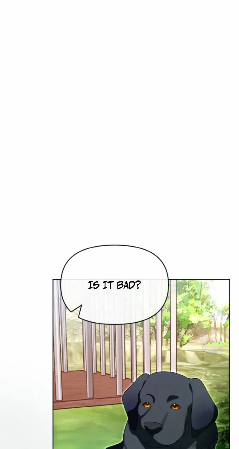 My ex-husband wants to reconcile Chapter 13 page 113 - 
