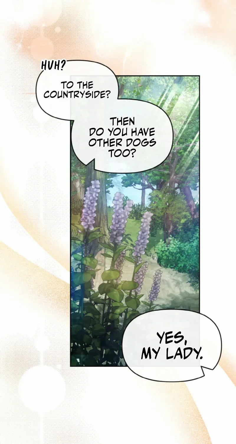My ex-husband wants to reconcile Chapter 14 page 20 - 