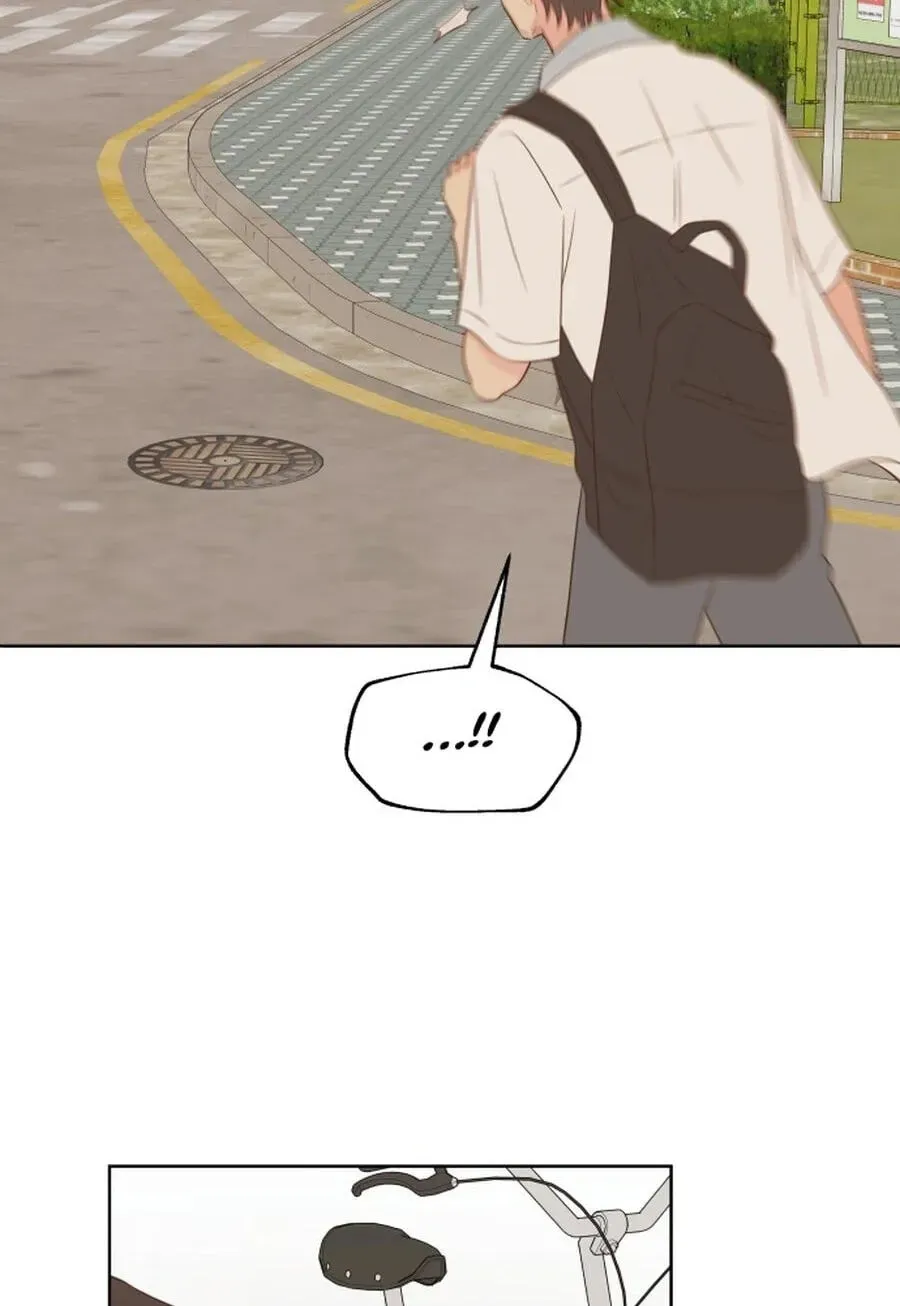My Fake Crush Chapter 568 page 39 - 
