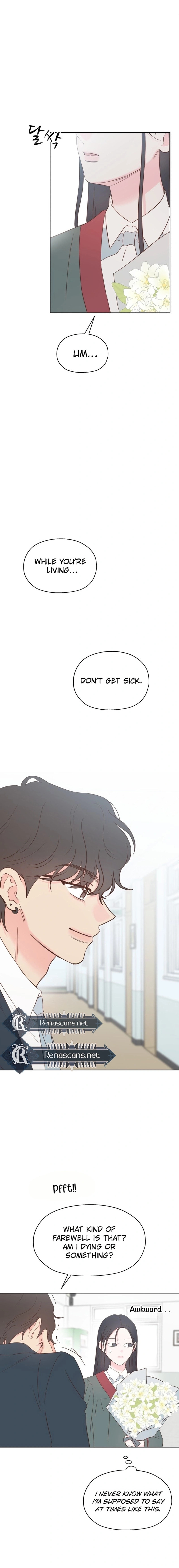 My Fake Crush Chapter 61 page 13 - 