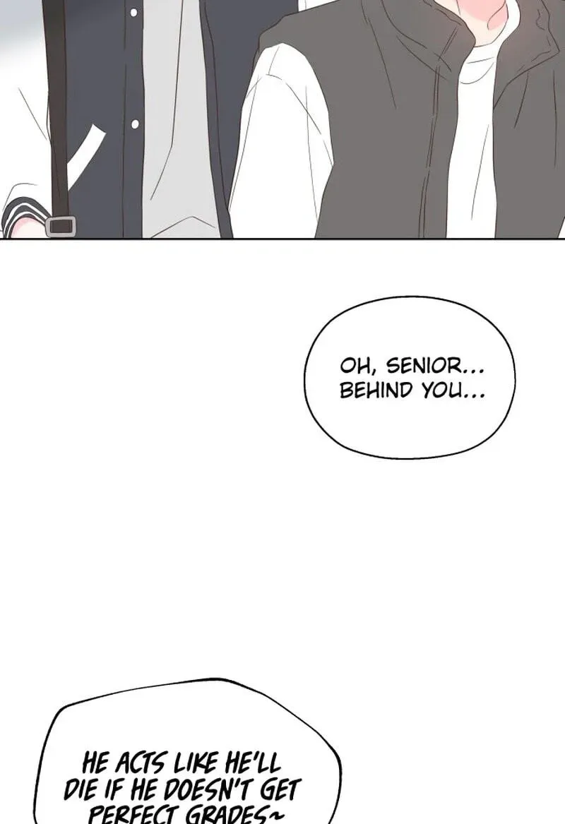 My Fake Crush Chapter 624 page 26 - 