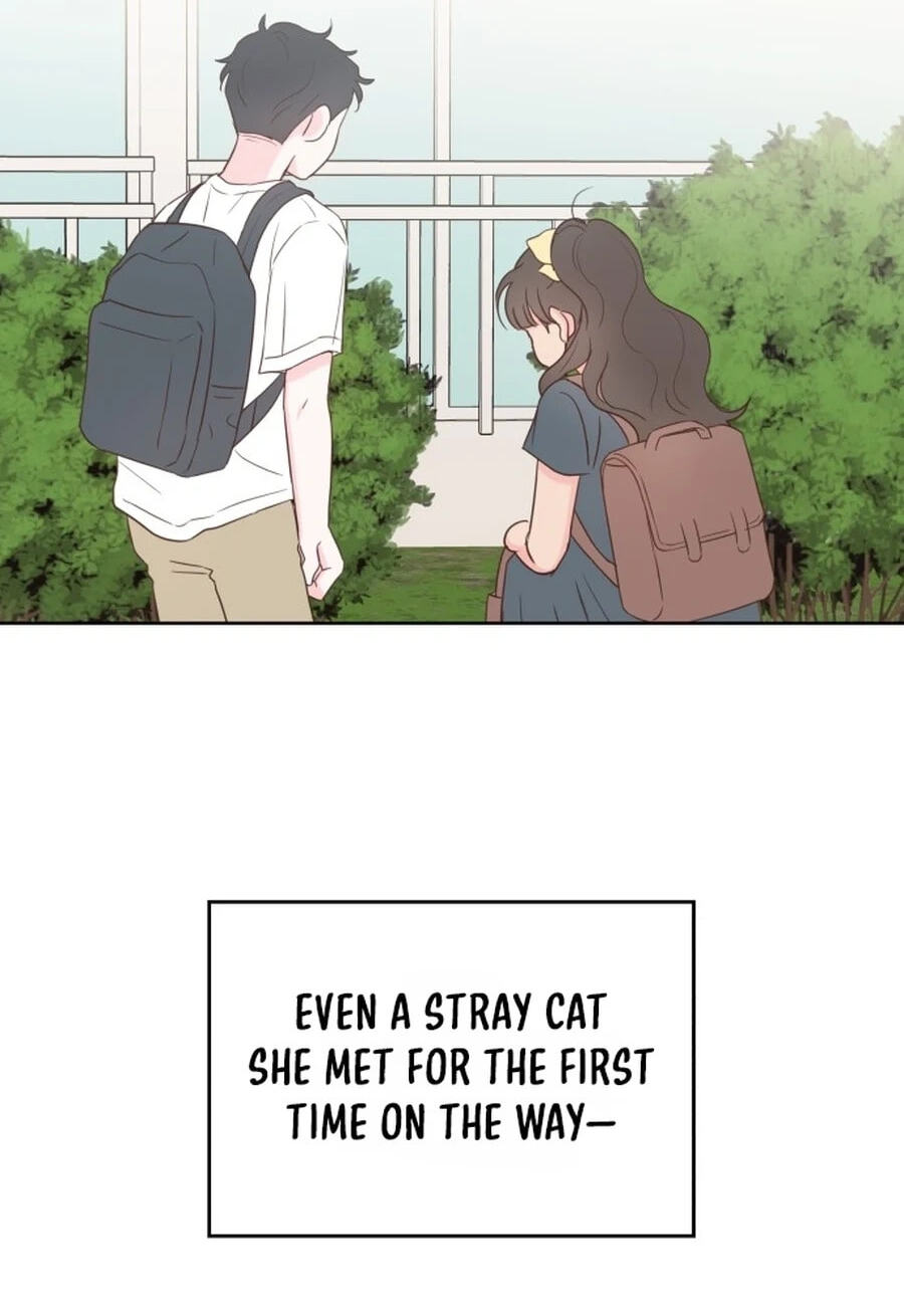 My Fake Crush Chapter 66 page 56 - 