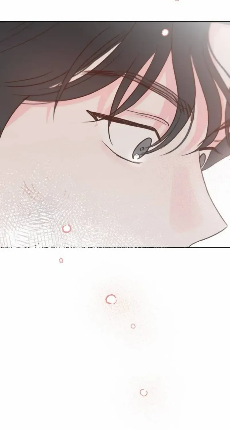 My Fake Love Chapter 12 page 17 - 
