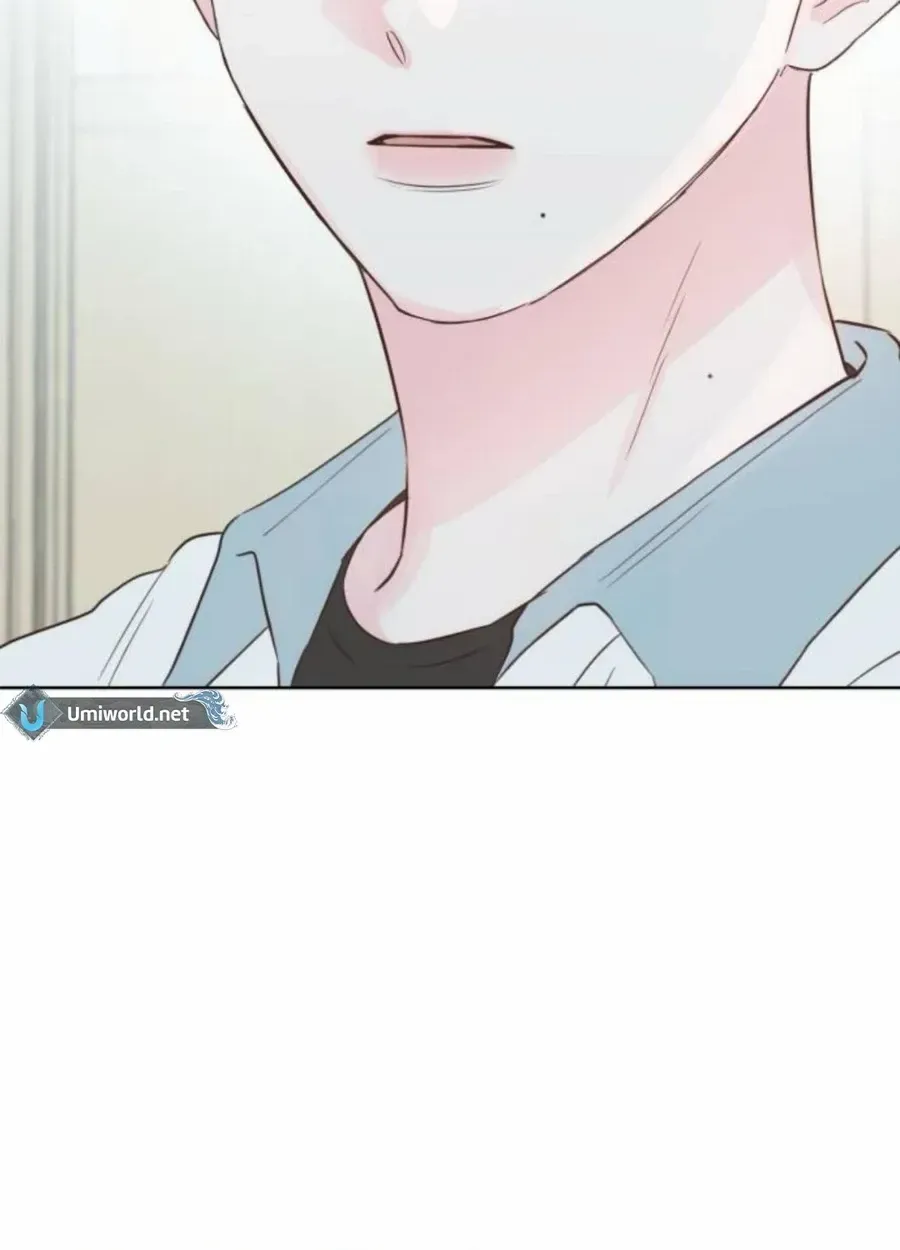 My Fake Love Chapter 24 page 43 - 
