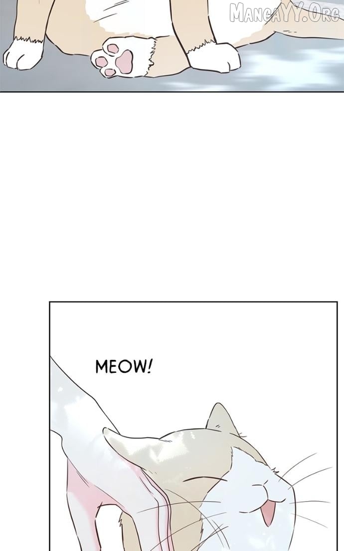 My Fake Love Chapter 35 page 12 - 