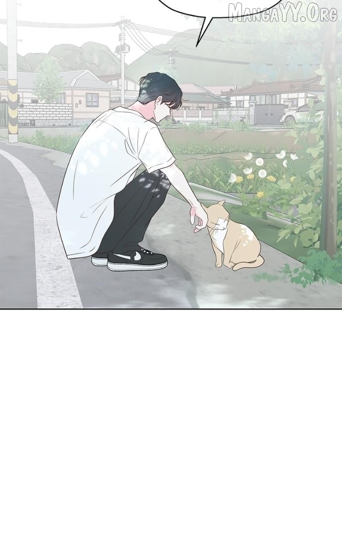 My Fake Love Chapter 35 page 14 - 
