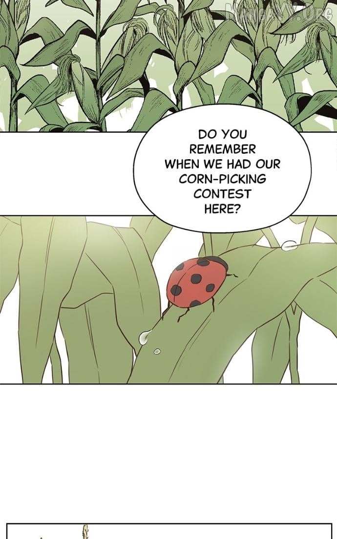 My Fake Love Chapter 35 page 73 - 