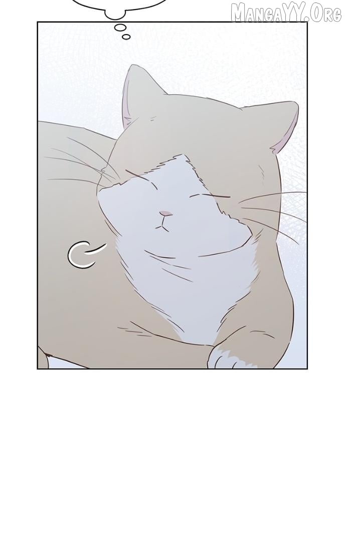 My Fake Love Chapter 37 page 71 - 
