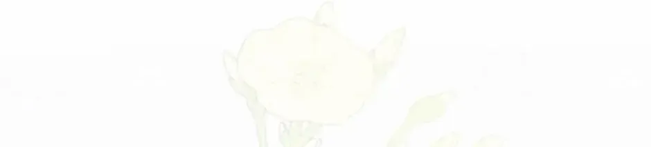 My Farm by the Palace Chapter 81 page 82 - 