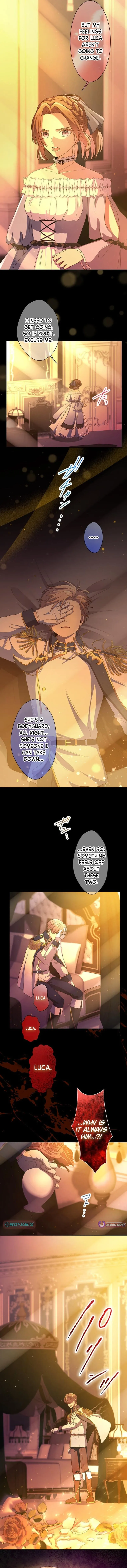 My Favorite Idol Is Guarded by Her Powerful Fiancé Chapter 11 page 5 - 