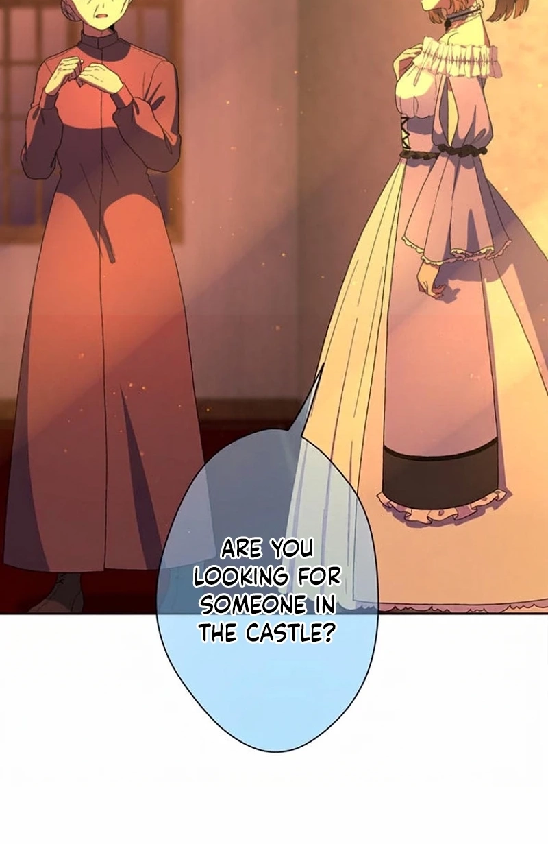 My Favorite Idol Will Be Protected by His Strongest Fiancée Chapter 11 page 43 - 