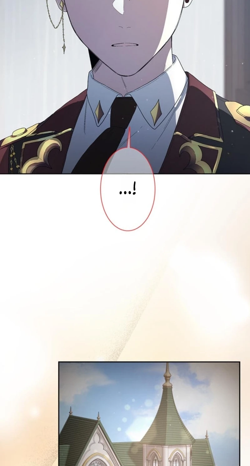 My Favorite Idol Will Be Protected by His Strongest Fiancée Chapter 13 page 27 - 