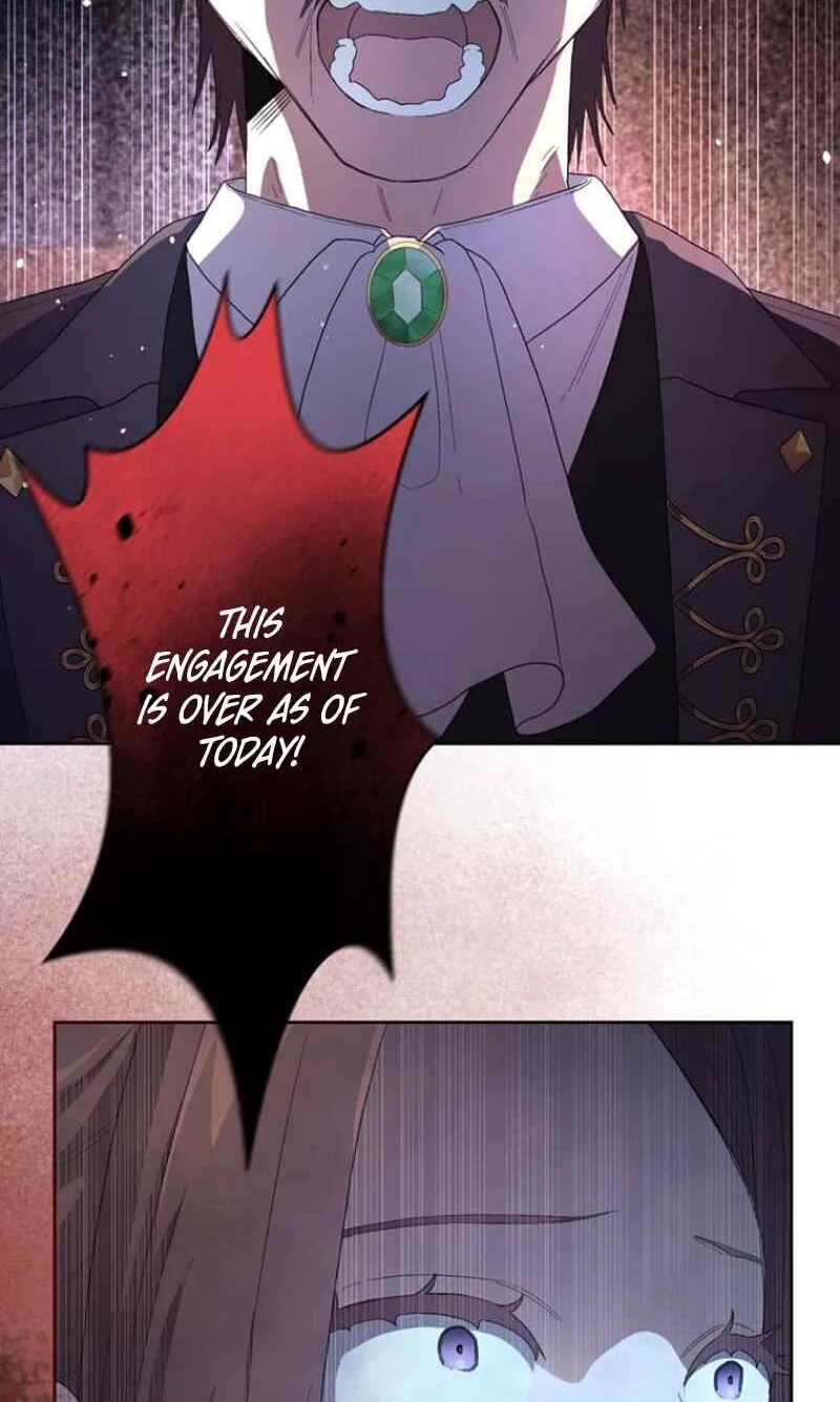 My Favorite Idol Will Be Protected by His Strongest Fiancée Chapter 14 page 29 - 