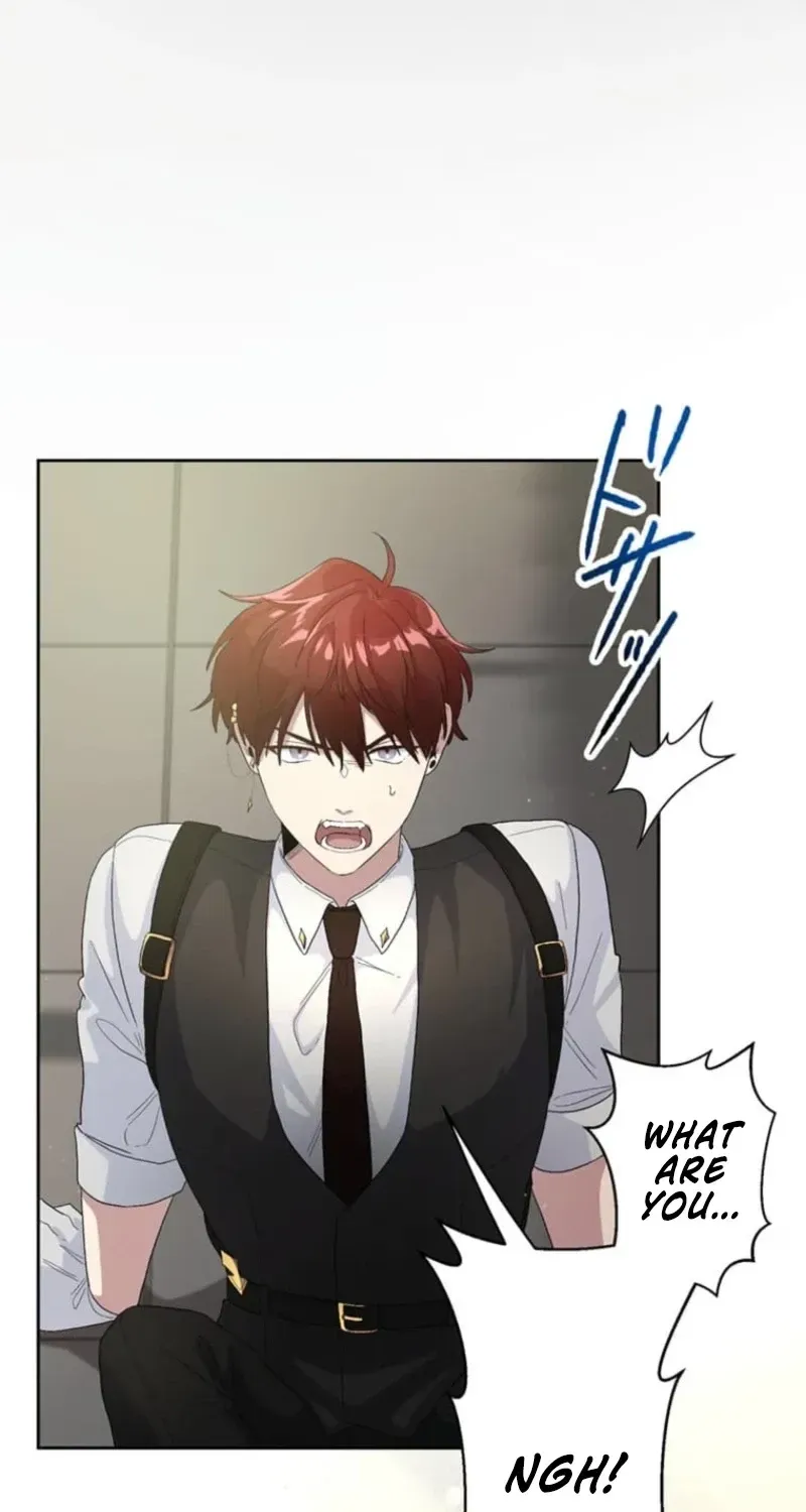 My Favorite Idol Will Be Protected by His Strongest Fiancée Chapter 3 page 50 - 