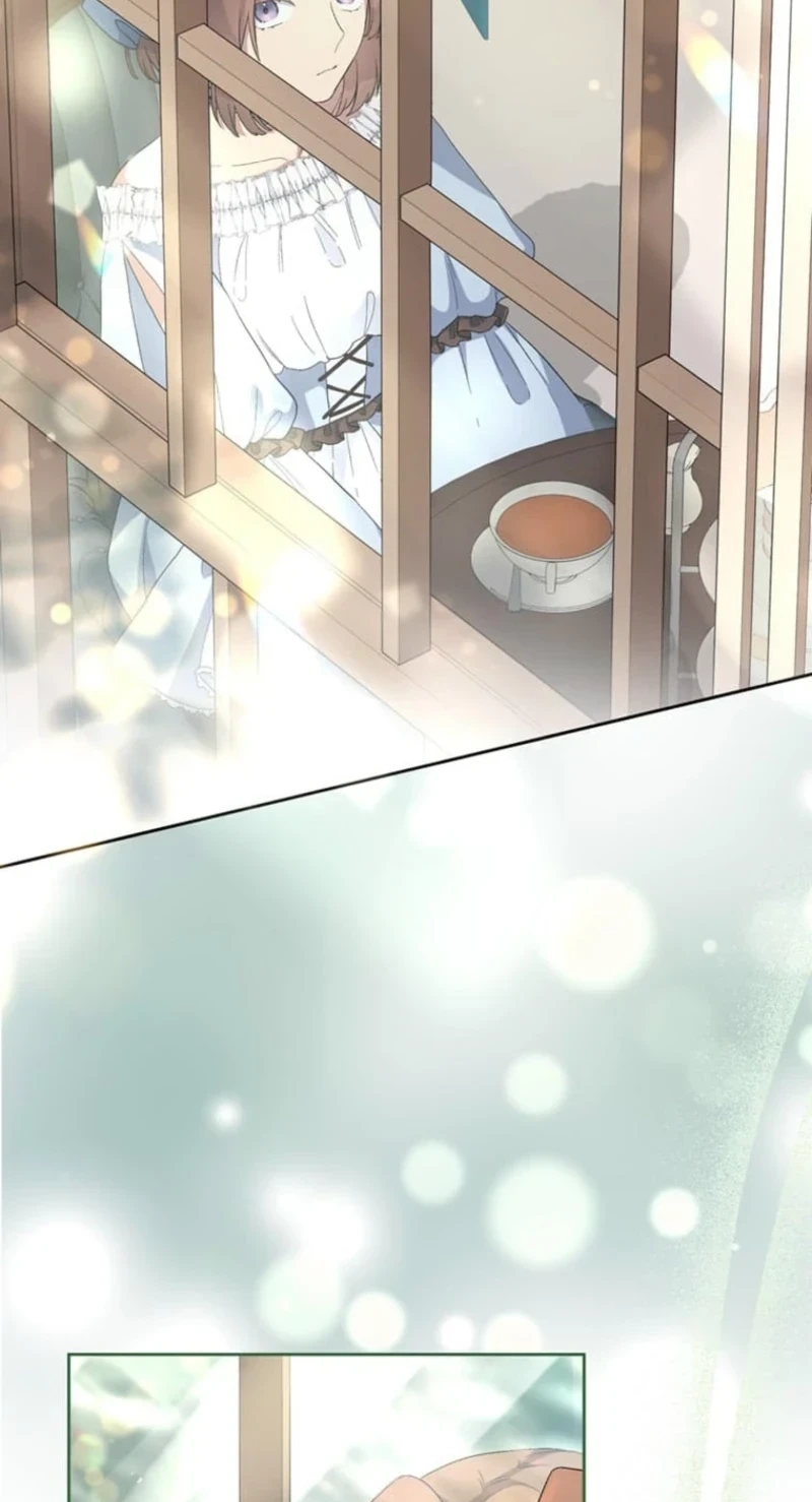 My Favorite Idol Will Be Protected by His Strongest Fiancée Chapter 4 page 5 - 
