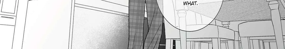 My Favorite Model Has Become My older brother Chapter 29 page 20 - 