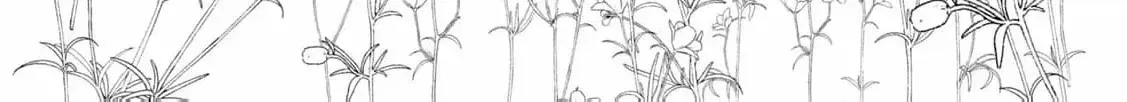 My Fiancé Forgot About Me, So I Entered a Fake Engagement with the Neighboring Prince Chapter 2 page 11 - 
