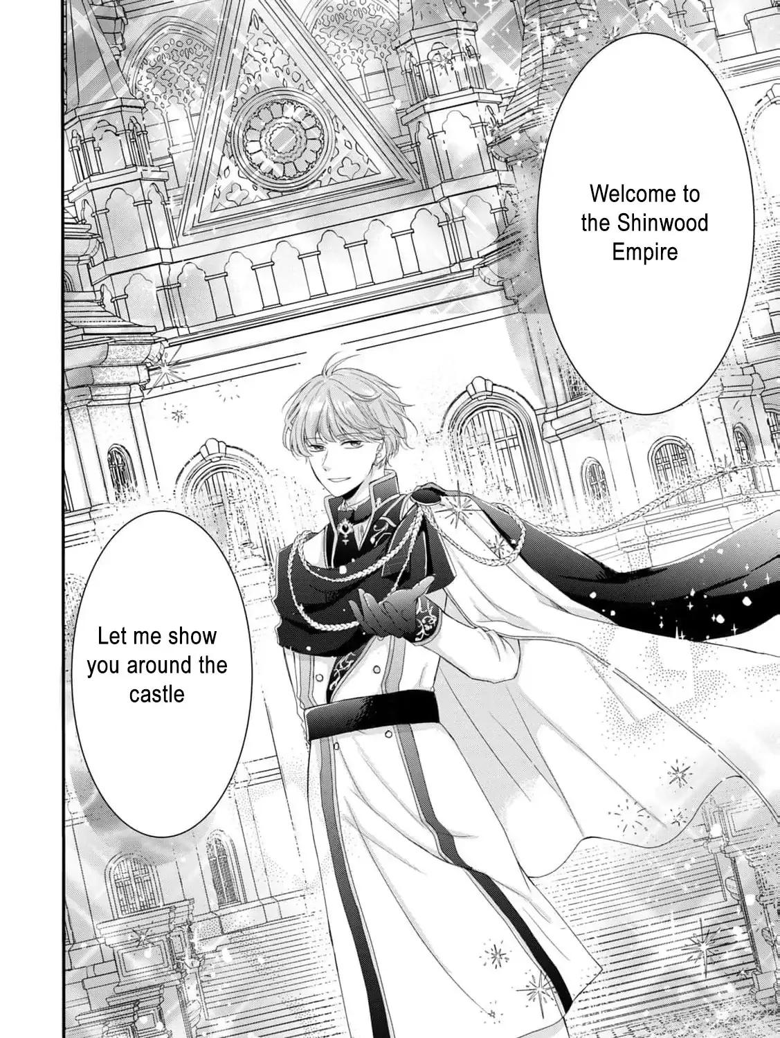 My Fiancé Forgot About Me, So I Entered a Fake Engagement with the Neighboring Prince Chapter 3 page 84 - 